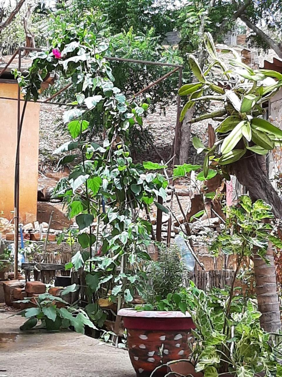 ホテル El Jardin サン・フアン・デル・スル エクステリア 写真